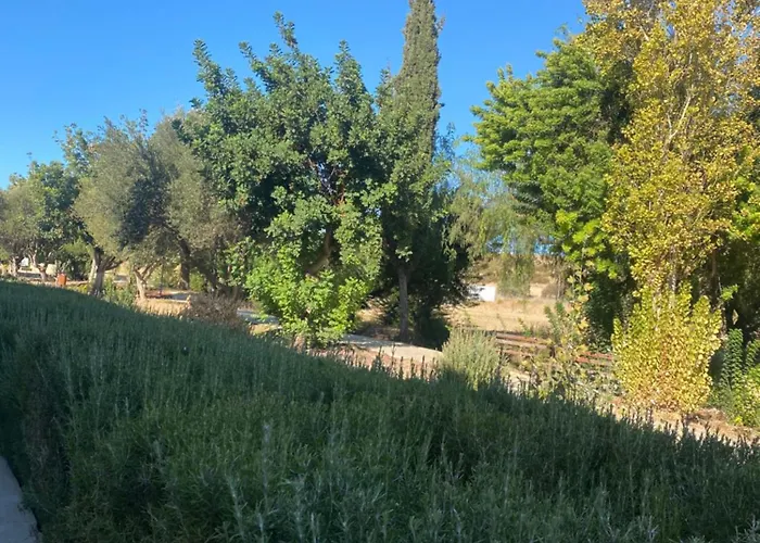 公寓 William And Emily *